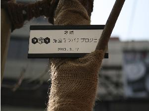 朝日稲荷前ハナミズキ街路樹(2010.3.17) 朝日稲荷前ハナミズキ街路樹(2010.3.17)